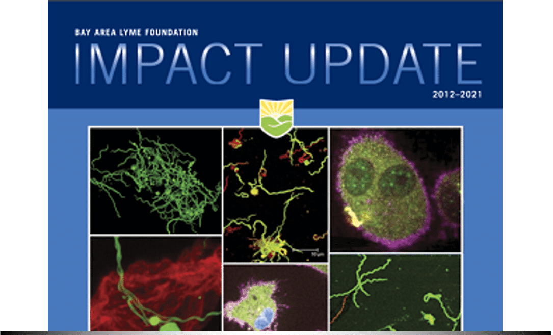 bay area lyme foundation impact update