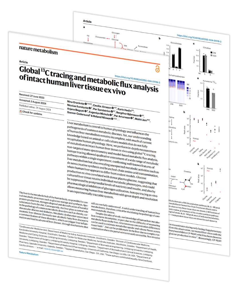 human liver tissue ex vivo analysis