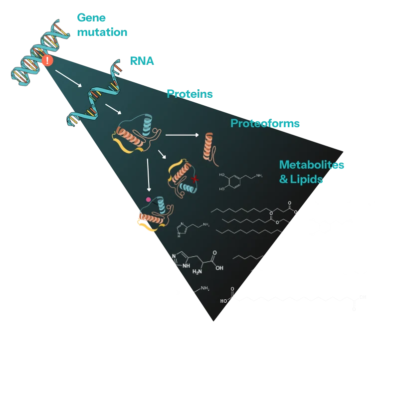 rare disease multi-omics cascade