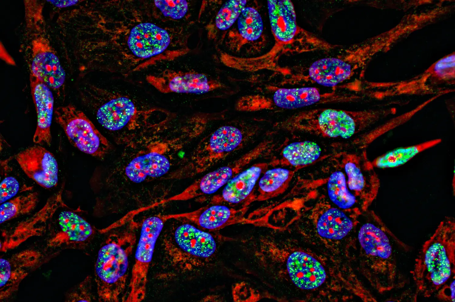 mechanism-of-action profiling