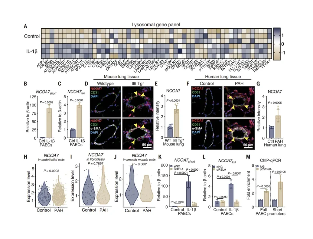 multi-omics services for immunology