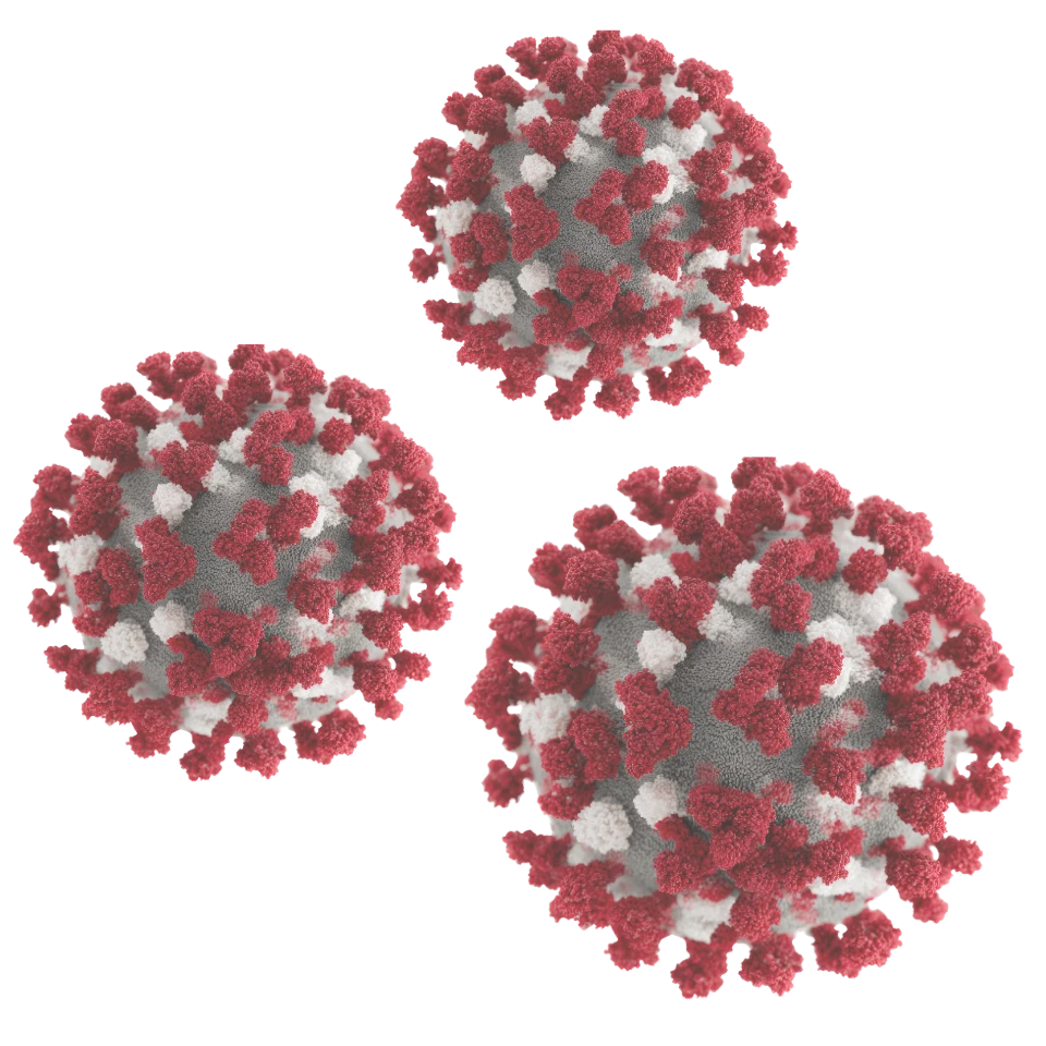 multi-omics services for immunology research
