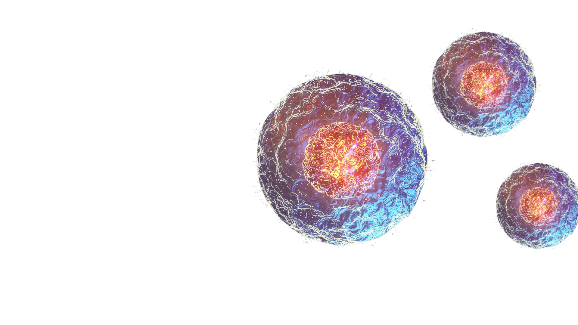 multi-omics integration