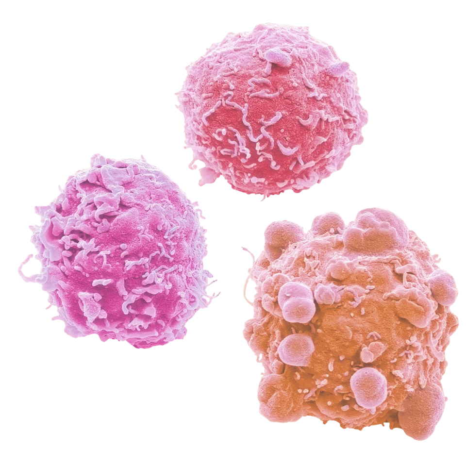 tumor profiling services