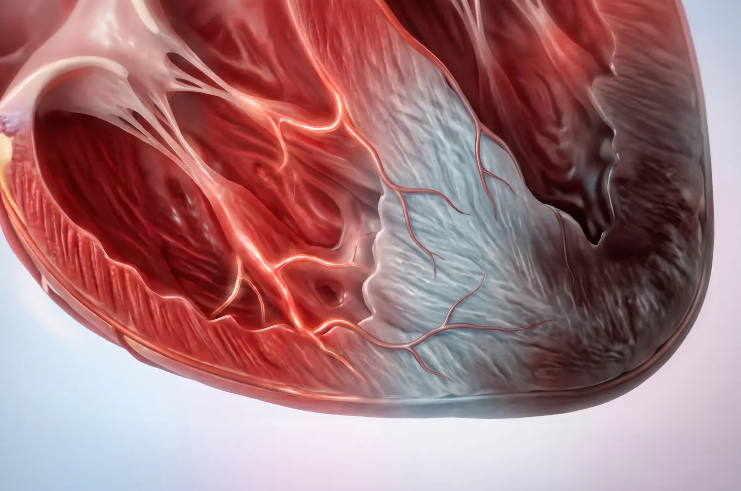 cardiotoxicity biomarkers analysis
